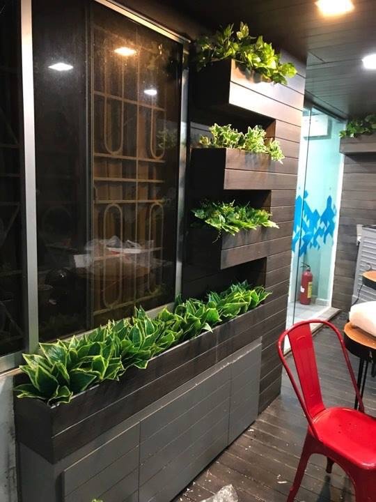Tường cây lá vĩ trang trí 01