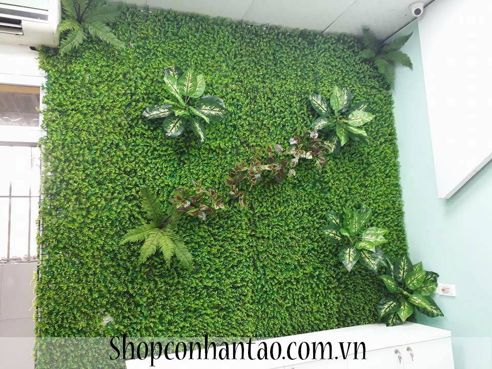 Tường cây lá vĩ trang trí 01
