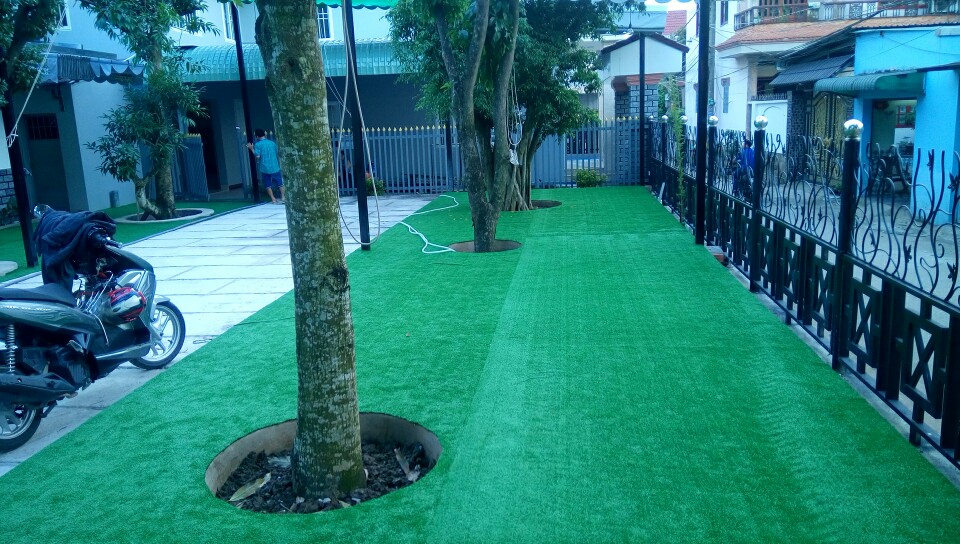 Cỏ nhân tạo trang trí ngoài trời 01